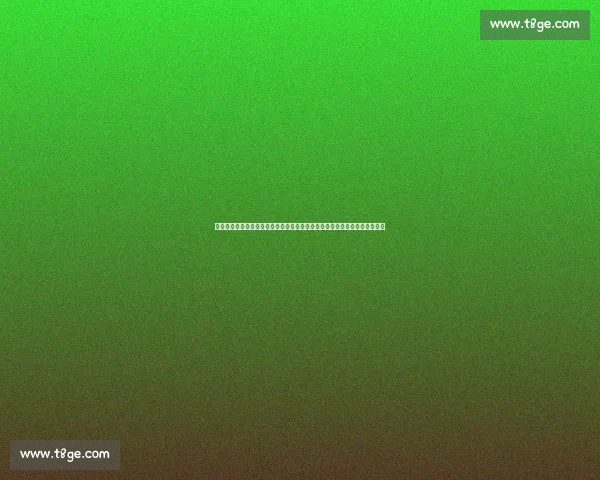 湖人对阵热火第四场全场回放中文解说经典对决解析季后赛巅峰时刻精彩看点